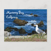 Monterey Bay, Briefkaart (Voorkant)
