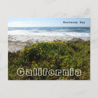 Monterey Bay Briefkaart