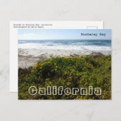 Monterey Bay Briefkaart (Voorkant / Achterkant)