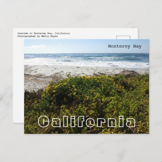Monterey Bay Briefkaart (Voorkant / Achterkant)