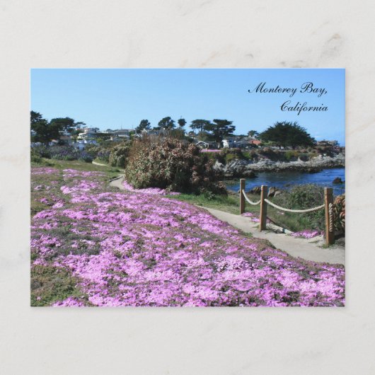 Monterey Bay, Briefkaart voorjaar (Voorkant)