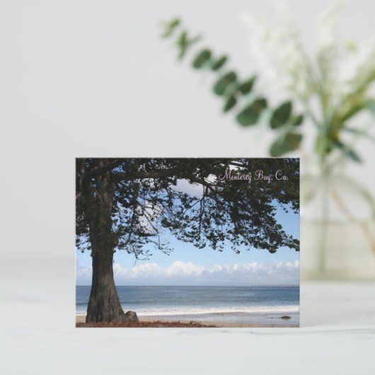 Monterey Bay, Ca. Briefkaart (Staand voorkant)