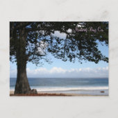 Monterey Bay, Ca. Briefkaart (Voorkant)