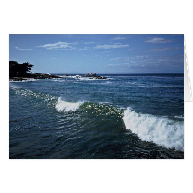 Monterey Bay, Californië (Voorkant Horizontaal)