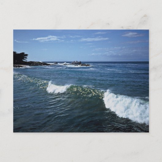 Monterey Bay, Californië Briefkaart (Voorkant)