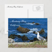 Monterey Bay, Californië-Briefkaart Briefkaart (Voorkant / Achterkant)