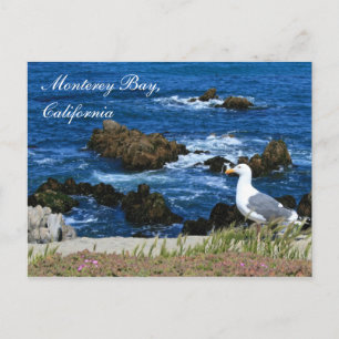 Monterey Bay, Californië-Briefkaart Briefkaart