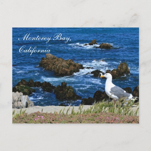 Monterey Bay, Californië-Briefkaart Briefkaart (Voorkant)
