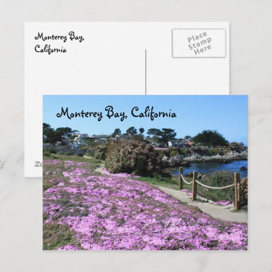 Monterey Bay, Californië-Briefkaart Briefkaart (Voorkant / Achterkant)
