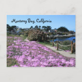 Monterey Bay, Californië-Briefkaart Briefkaart (Voorkant)