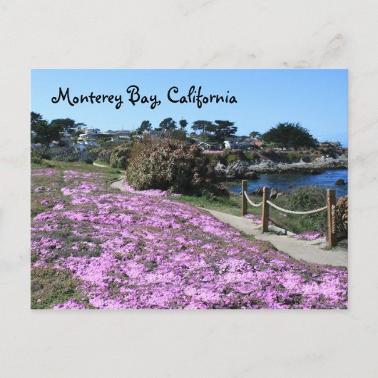 Monterey Bay, Californië-Briefkaart Briefkaart (Voorkant)