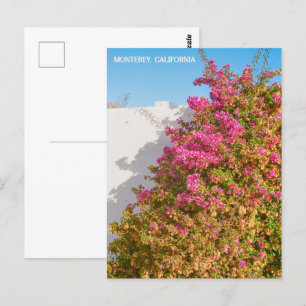 Monterey Bay Californië   Filmfotografie   werf Briefkaart