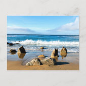 Monterey Bay, Californië landschapsfoto Briefkaart (Voorkant)