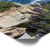 Monterey Bay Coastline, lentesfoto Poster (Hoek)