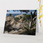 MONTEREY BAY Jumbo Wenskaart Kaart (Gele Bloem)