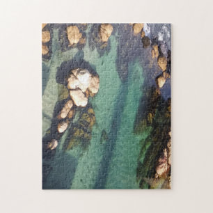 Monterey Bay Lagoon Legpuzzel