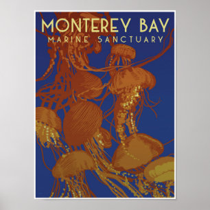 Monterey Bay Marine Sanctuary; kwal Poster