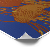 Monterey Bay Marine Sanctuary; kwallen Poster (Hoek)