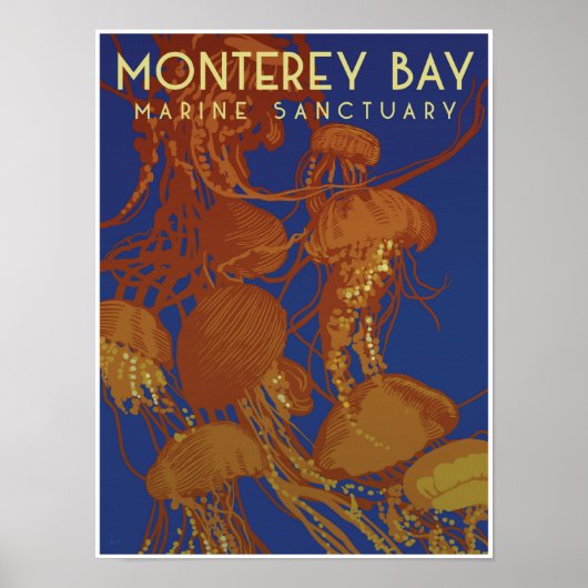 Monterey Bay Marine Sanctuary; kwallen Poster (Voorkant)