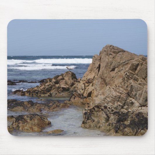 Monterey Bay Mousepad Muismat (Voorkant)