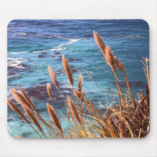 Monterey Bay Muismat (Voorkant)