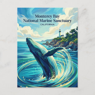 Monterey Bay National Marine Sanctuary VS Briefkaart