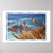 Monterey Bay Poster (Voorkant)