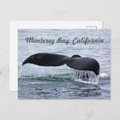 Monterey Bay Whale Tail Briefkaart (Voorkant / Achterkant)