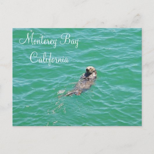 Monterey Bay Zee Otter Briefkaart (Voorkant)
