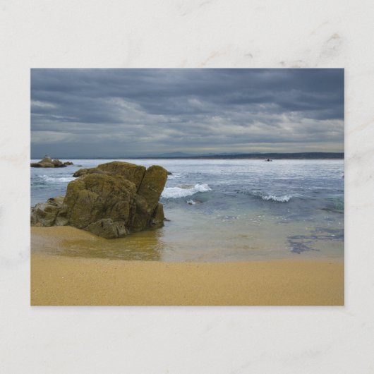 Monterey Beach Briefkaart (Voorkant)
