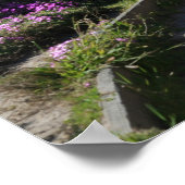Monterey Beach trail, Spring Photo Poster (Hoek)