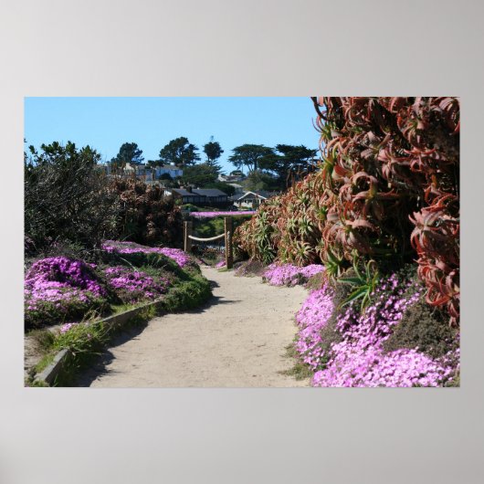 Monterey Beach trail, Spring Photo Poster (Voorkant)