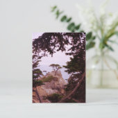 Monterey Briefkaart (Staand voorkant)