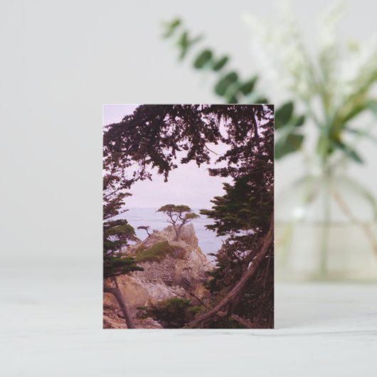 Monterey Briefkaart (Staand voorkant)