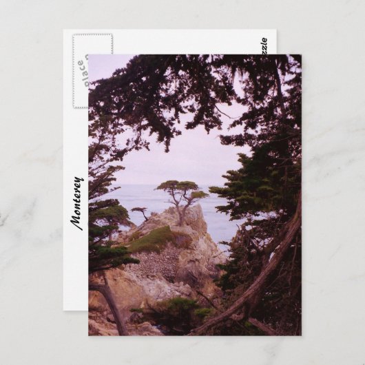 Monterey Briefkaart (Voorkant / Achterkant)