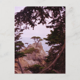 Monterey Briefkaart