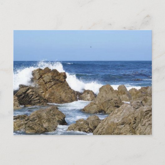 Monterey, CA Briefkaart (Voorkant)