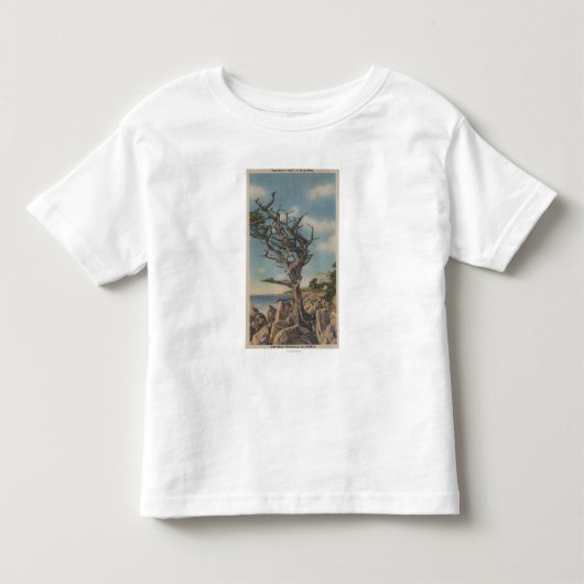 Monterey, CA - Old Witch Tree op 17 miljoen Kinder Shirts (Voorkant)