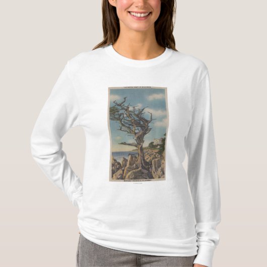 Monterey, CA - Old Witch Tree op 17 miljoen T-shirt (Voorkant)