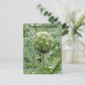 Monterey California Artichoke Briefkaart (Staand voorkant)