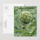 Monterey California Artichoke Briefkaart (Voorkant / Achterkant)