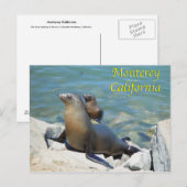 Monterey California Briefkaart (Voorkant / Achterkant)