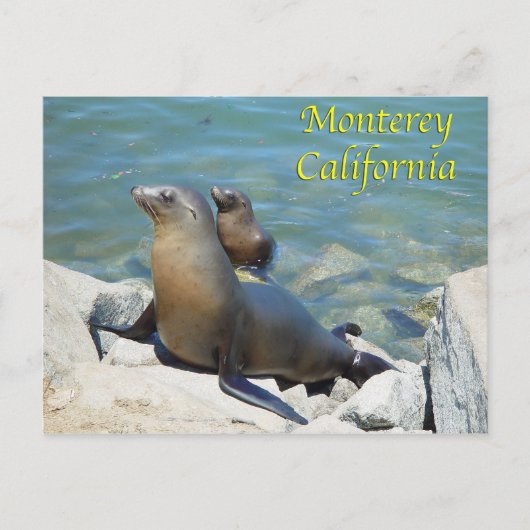 Monterey California Briefkaart (Voorkant)