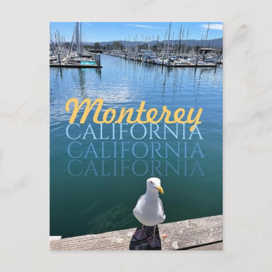 Monterey California Briefkaart Seagull en Sailship (Voorkant)