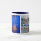 Monterey California Mok (Midden)