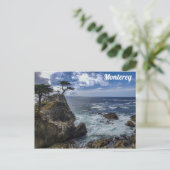 Monterey California Pebble Beach Cypress Tree Briefkaart (Staand voorkant)
