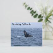 Monterey California Whale Tail Briefkaart (Staand voorkant)