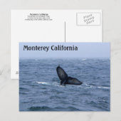 Monterey California Whale Tail Briefkaart (Voorkant / Achterkant)