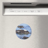 Monterey, Californië Magneet (Insitu (Vaatwasser))