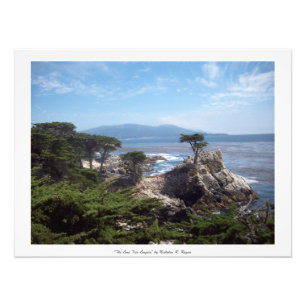 Monterey County Foto Afdruk